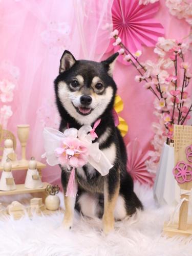 20250321ふうくん